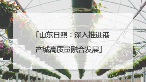 山东日照：深入推进港产城高质量融合发展